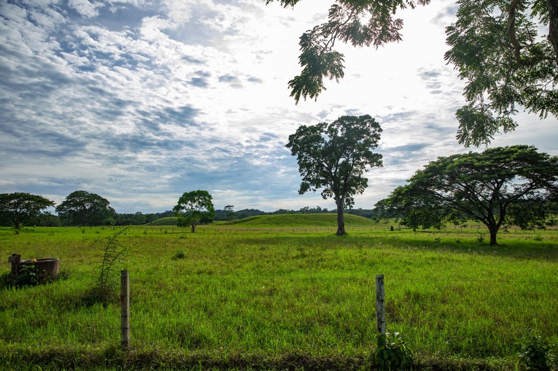 An Emerging Market in Belize: Ecotourism