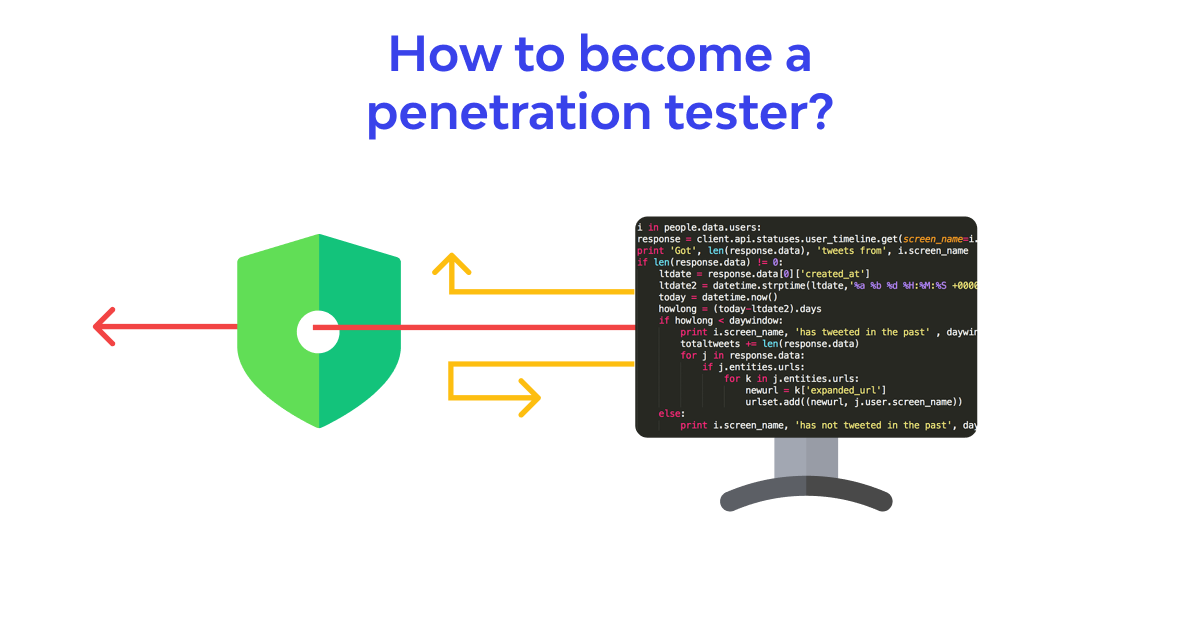 IP stresser applications in penetration testing