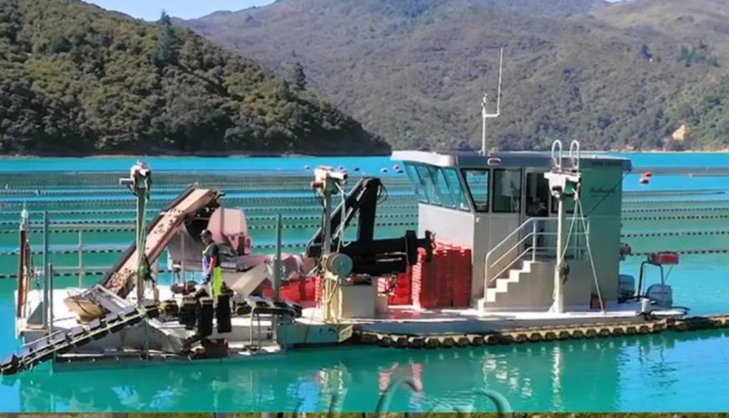 How Oyster Baskets and Cages Improve Shellfish Harvesting