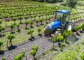 The Role of Farm Machinery in Modern Agricultural Operations